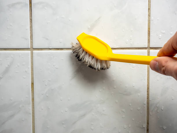 Best DIY Mold Remediation Support Services in Lido Beach, NY
